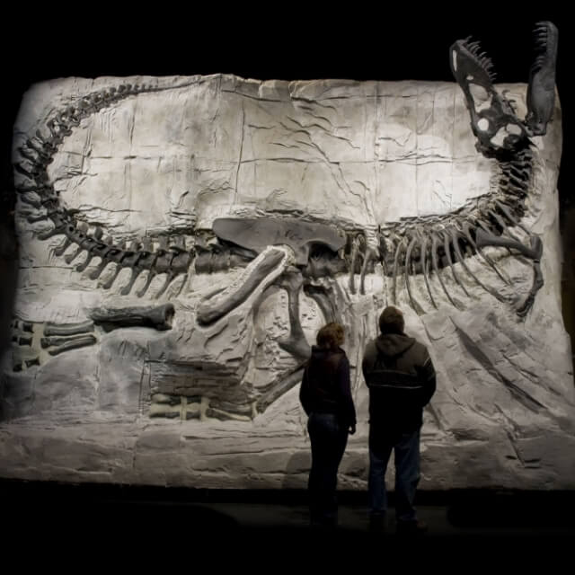 ロイヤル・ティレル古生物学博物館